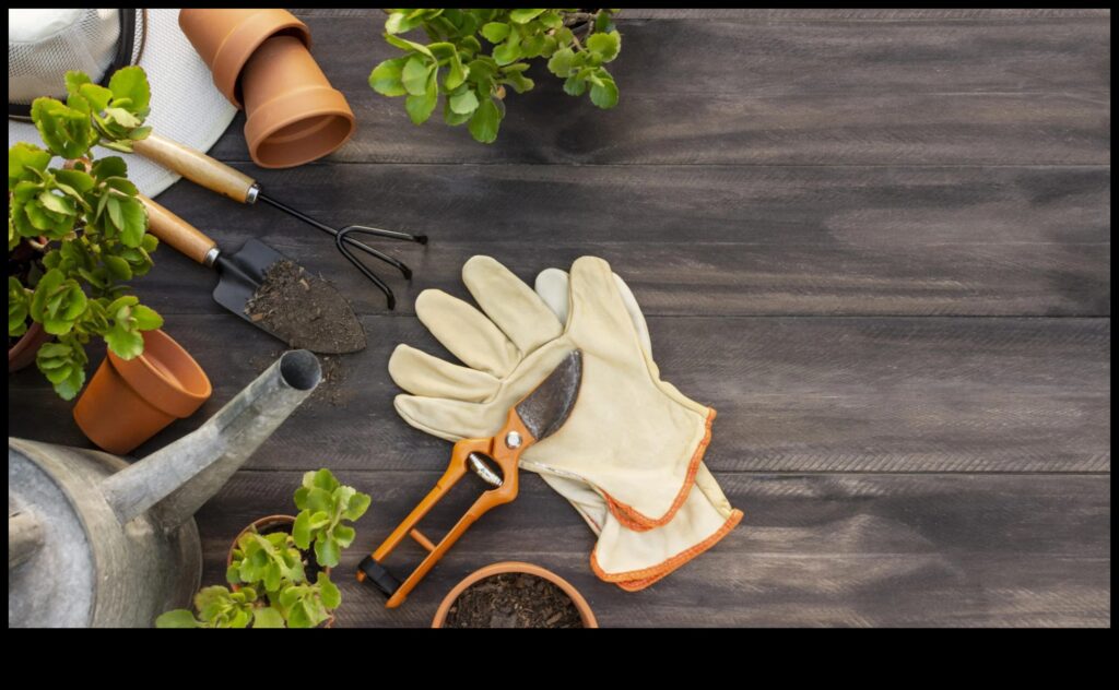 Seed to Success Your Garden Tool Kit for a Green Thumb 1