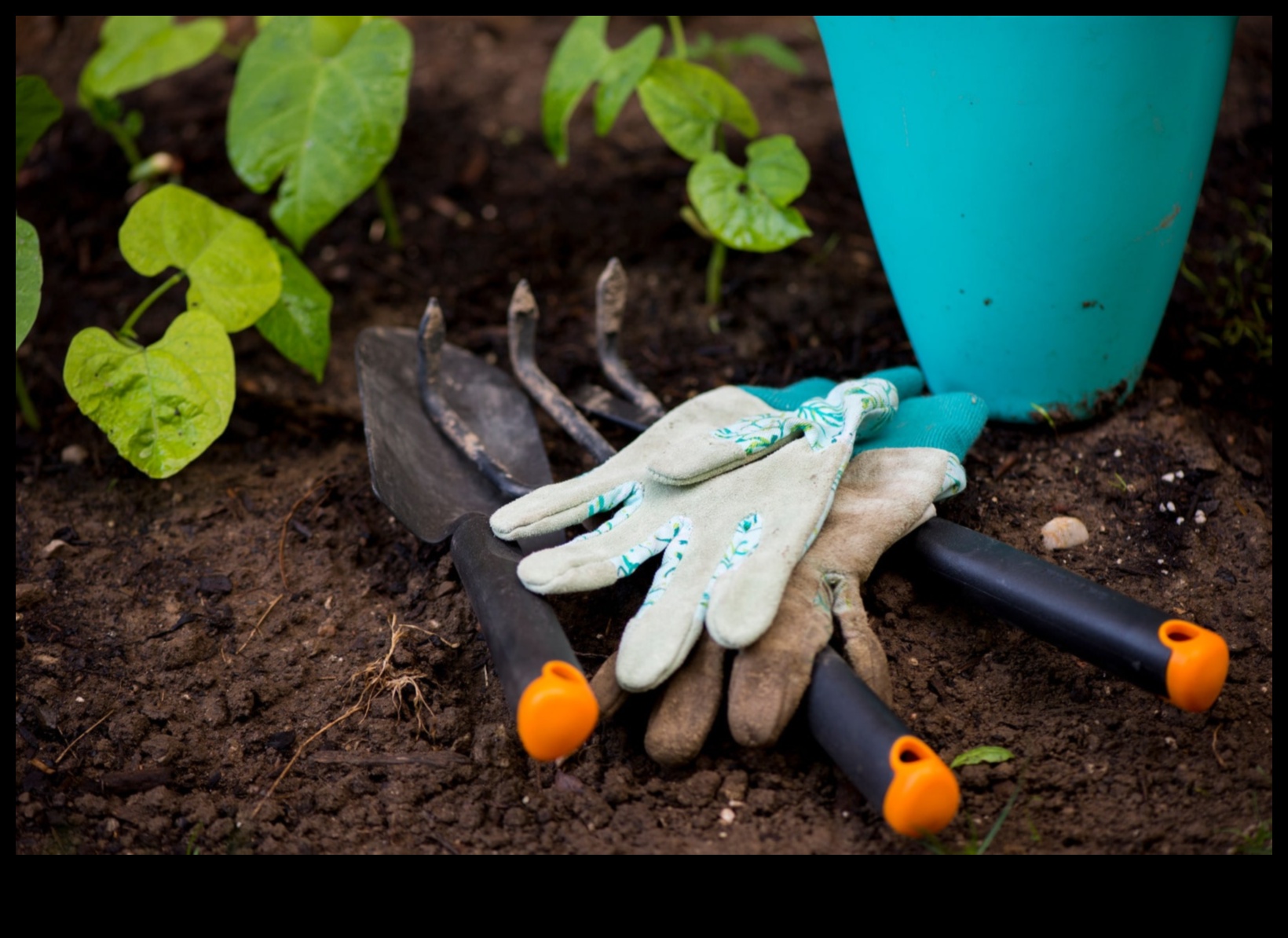 Seed to Success: Essential Garden Tools for All