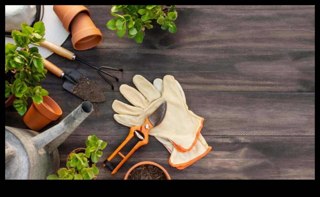 Seedlings to Success Essential Garden Tools UnleashedThe essential tools you need to get your garden growing from seed to harvest. 1