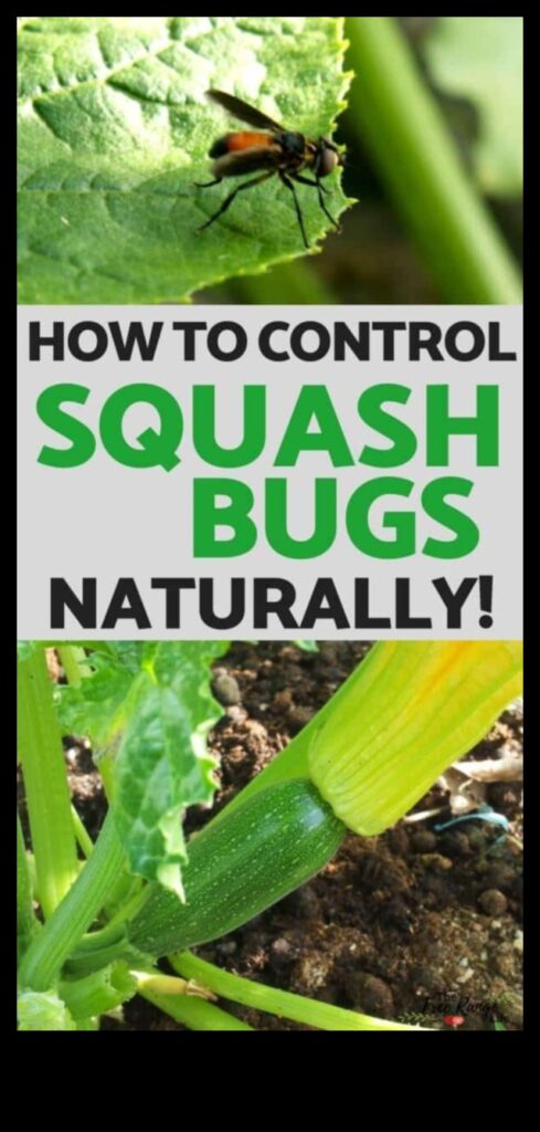 Shield and Conquer How to Defeat Garden Pests Swiftly and Naturally 1