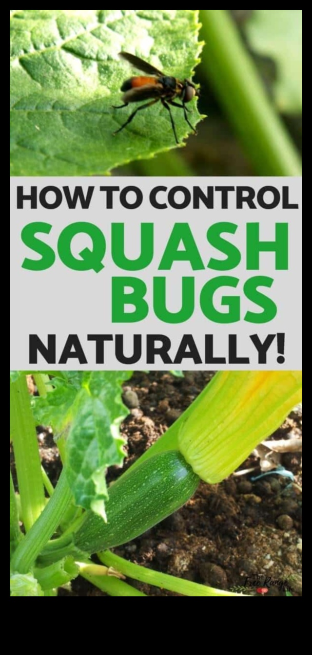 Shield and Conquer: Defeating Garden Pests Swiftly
