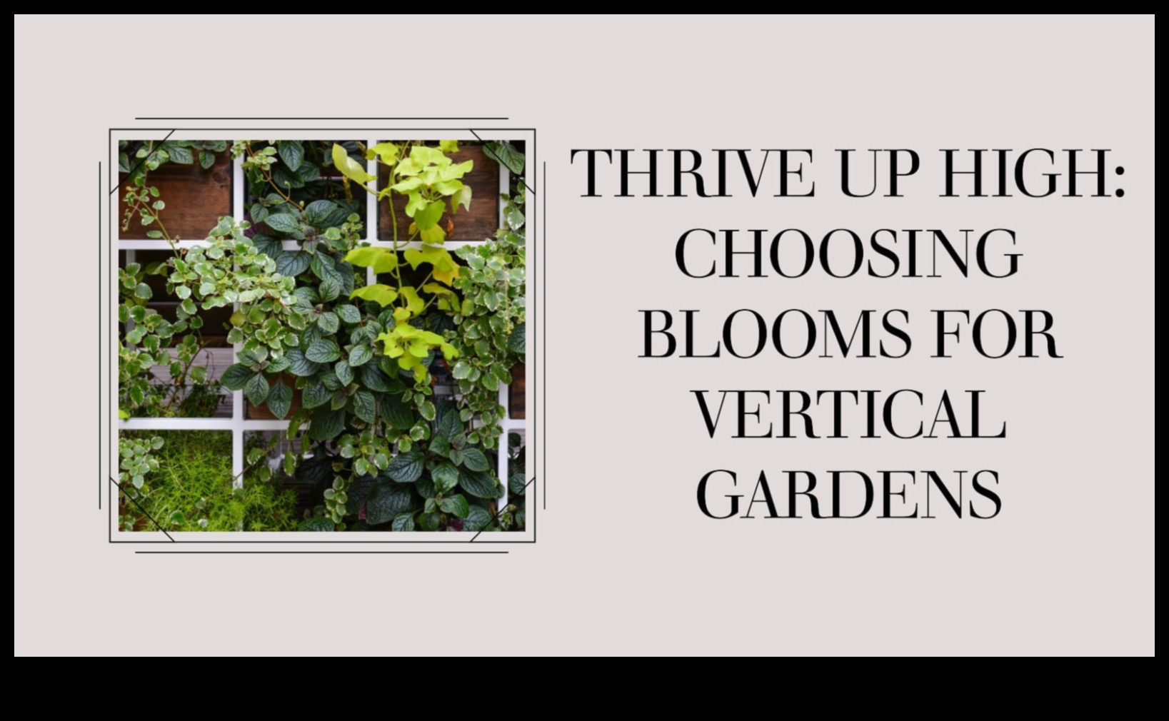 Sky-High Blooms: The Art of Captivating Vertical Gardens
