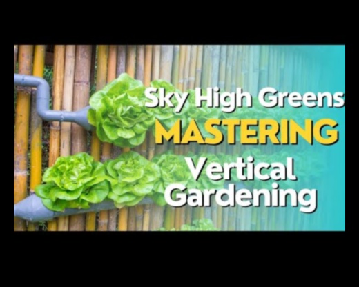 Sky-High Blooms: The Art of Captivating Vertical Gardens