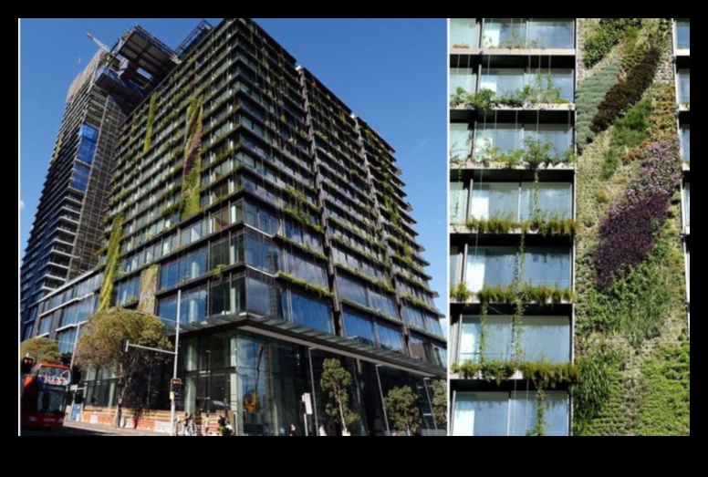 Skyscraper Blooms: Elevating Beauty with Vertical Gardening