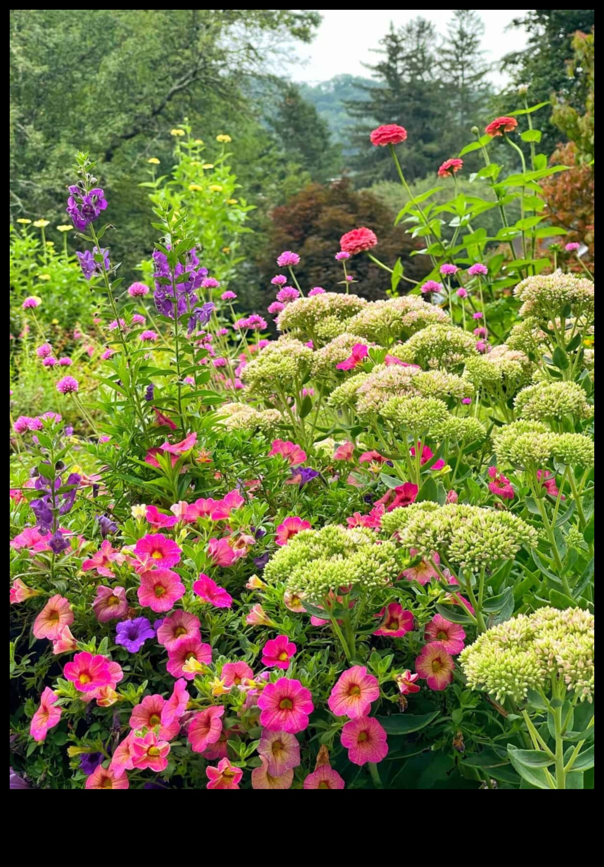 Slaying Garden Invaders: Your Pest-Resistant Guide