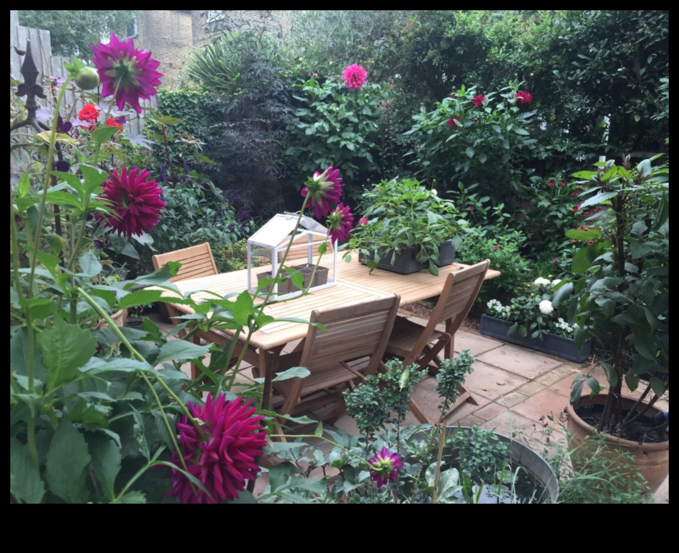 Small Plot, Big Dreams: Urban Gardening Inspirations