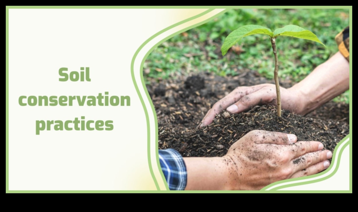 How do different soil conservation methods impact the sustainability of landscapes?