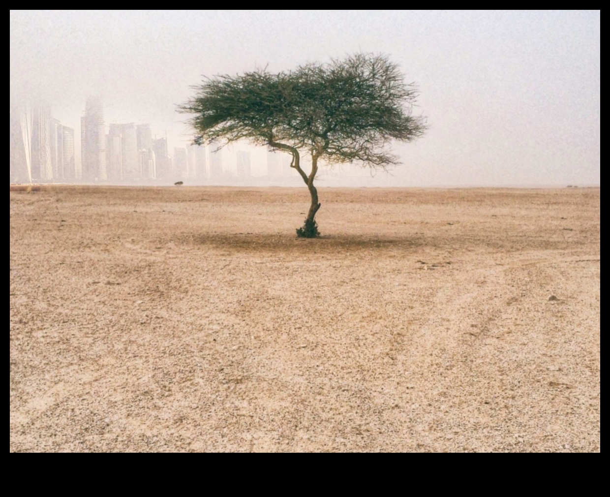 How do different soil conservation methods impact the sustainability of landscapes?