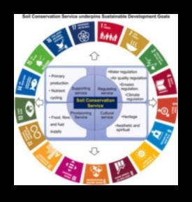 How do different soil conservation methods impact the sustainability of landscapes?