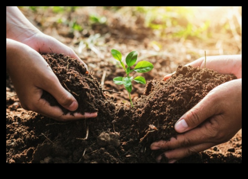 How do different soil conservation methods impact the sustainability of landscapes?