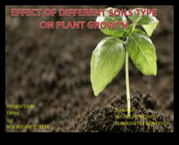Soil Types and Their Impact on Vegetation 1