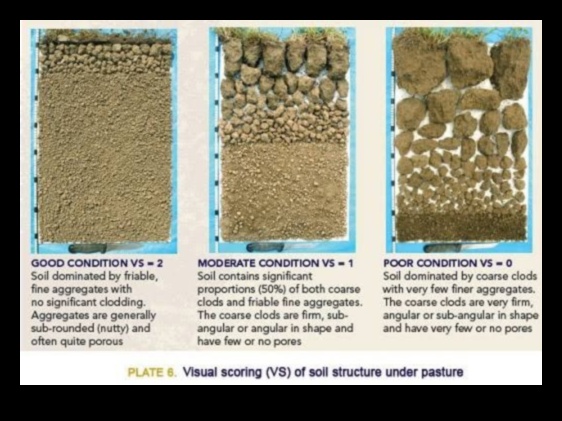 How do different soil compositions impact the vegetation of landscapes?