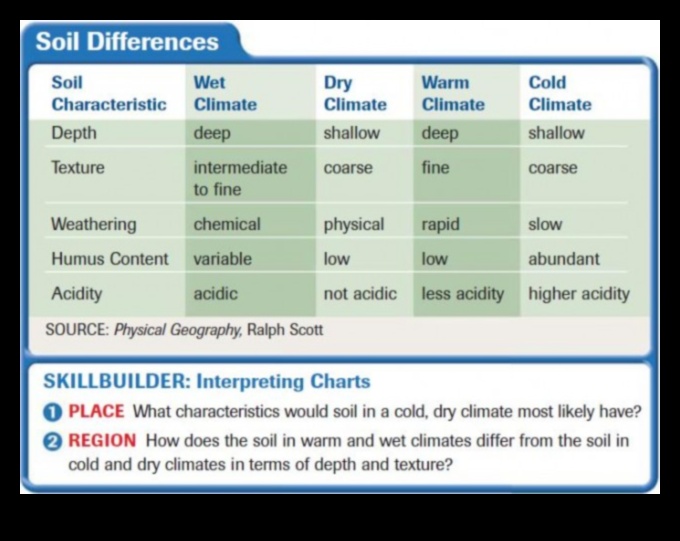 How do different soil compositions impact the vegetation of landscapes?