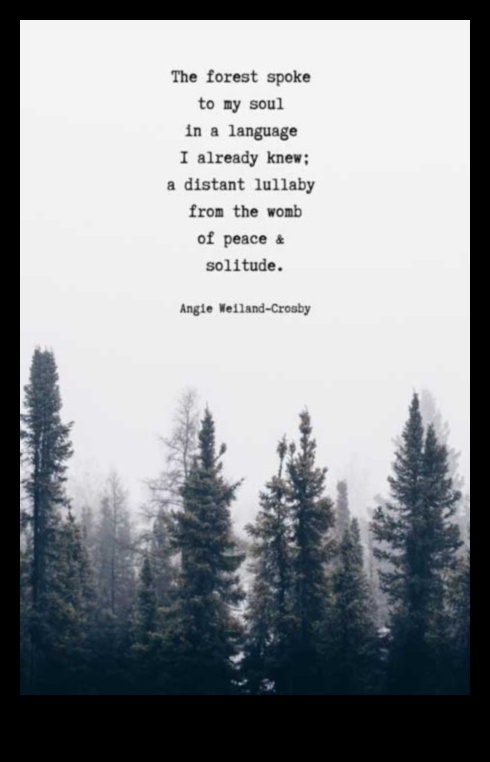 Why do people seek solitude in natural landscapes?