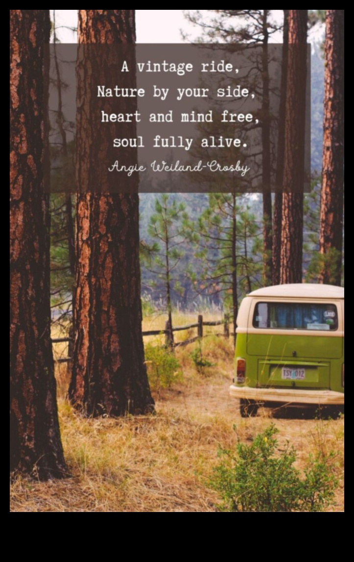 Why do people seek solitude in natural landscapes?