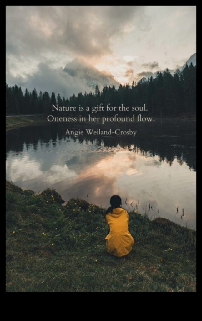 Soulful Scenery A Journey Through the Landscape of the Human Spirit 1