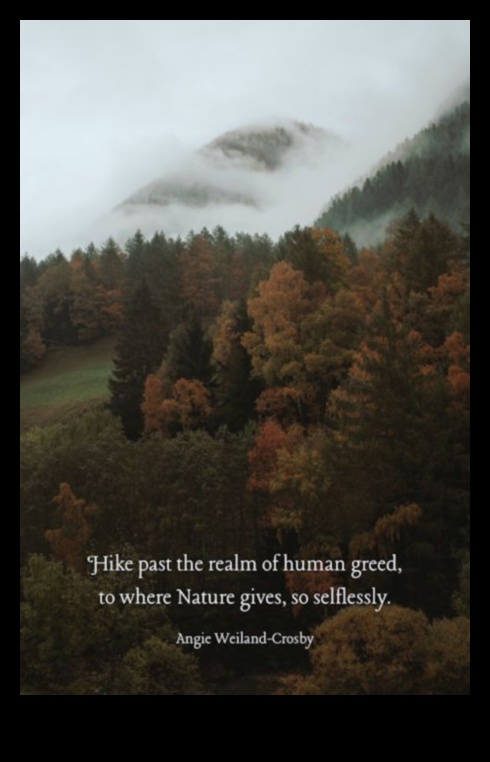 Soulful Sceneries: Landscapes That Speak Directly to Emotions