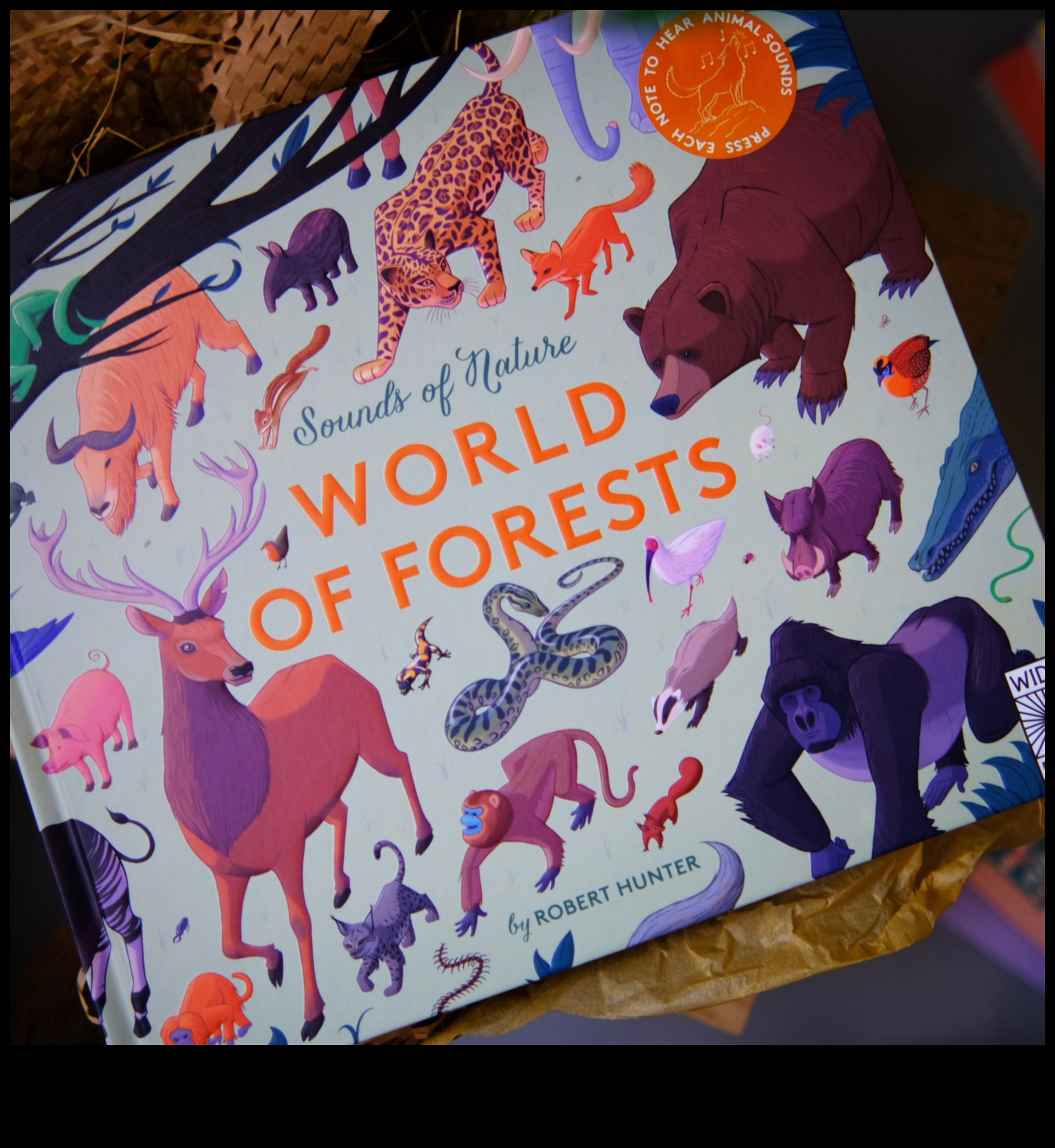 Melodic Nature: The Harmonies of Landscapes in Music