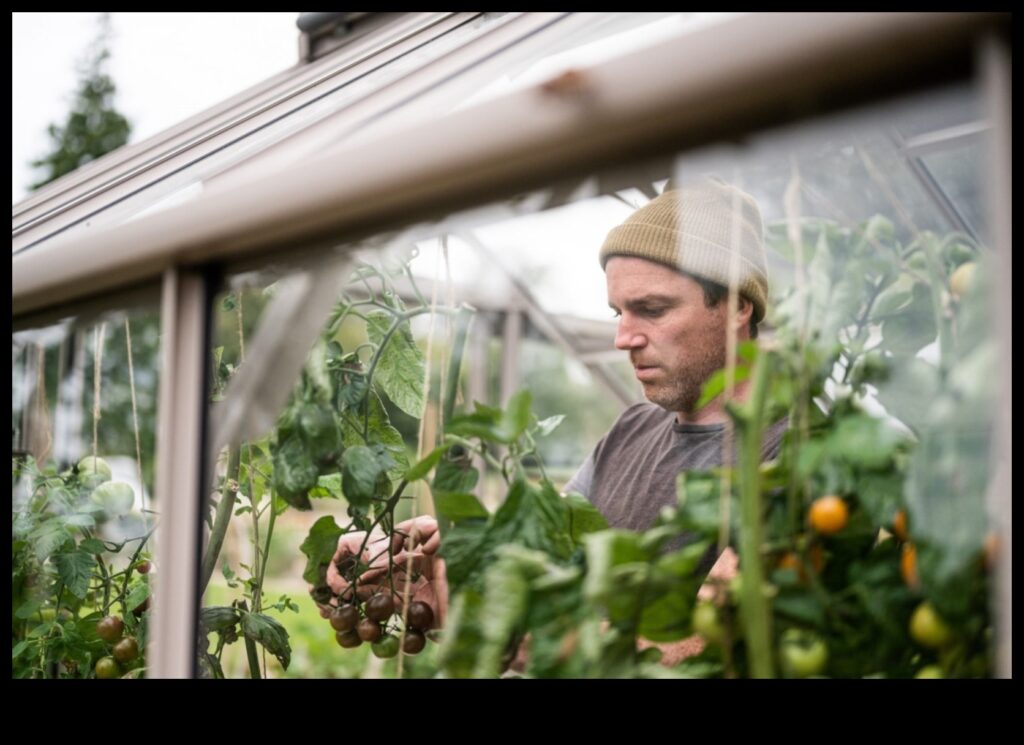 Sow, Bloom, Thrive How Greenhouses Can Help You Grow Your Business 1