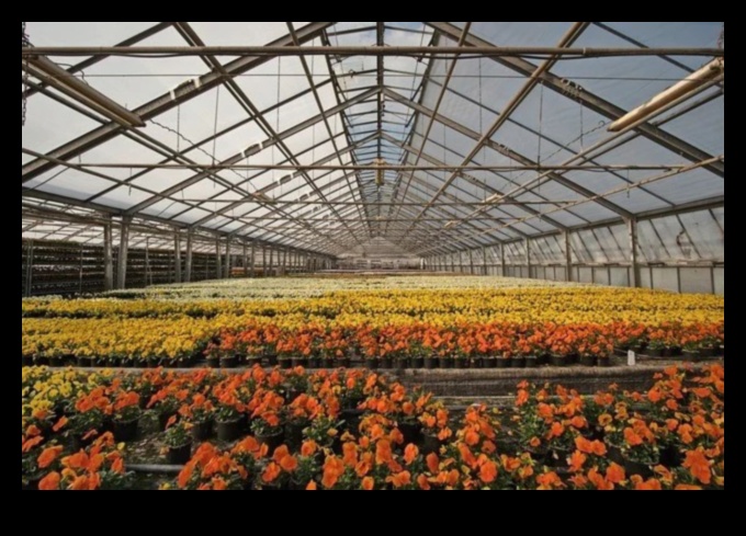 Sow, Bloom, Thrive: The Greenhouse Advantage