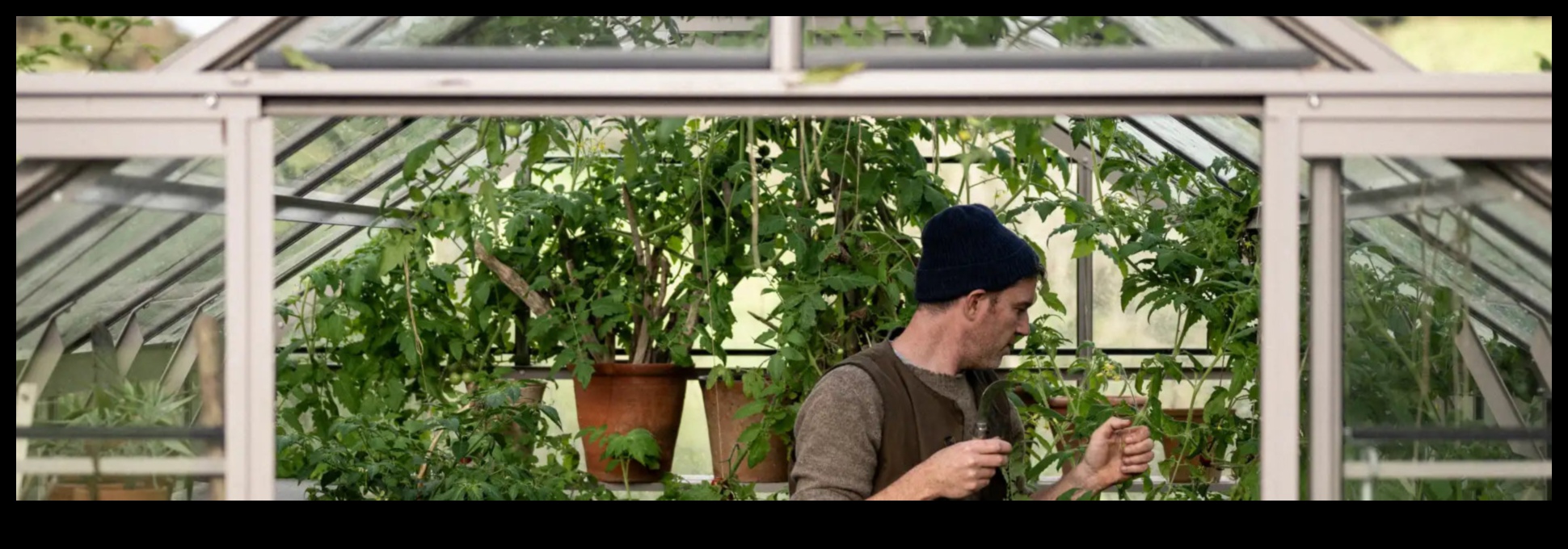 Sow, Bloom, Thrive: The Greenhouse Advantage