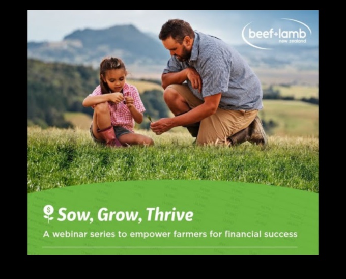 Sow, Bloom, Thrive: The Transformative Power of Workshops