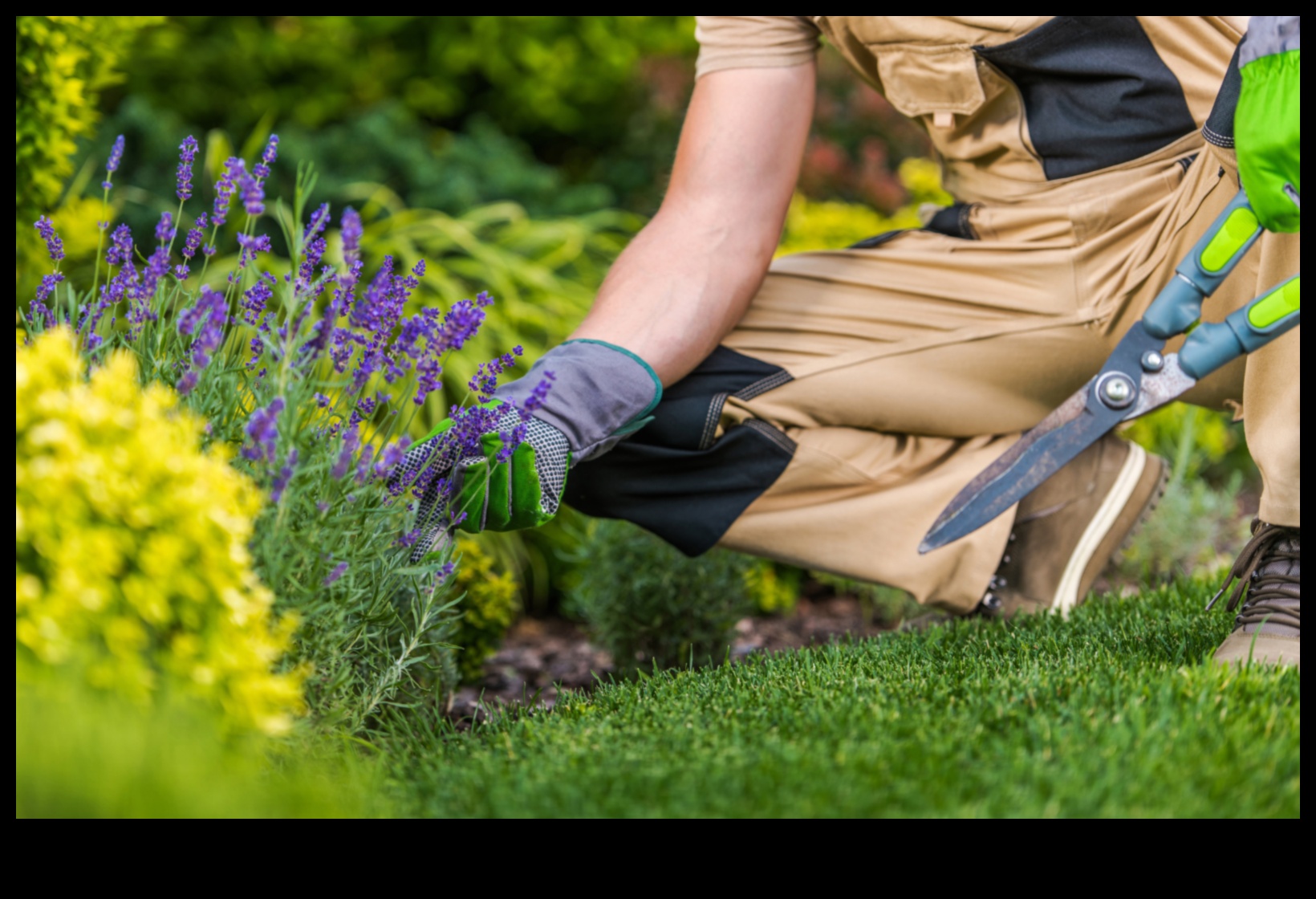 Sow, Grow, Flourish: Unleashing Creativity in Garden Workshops