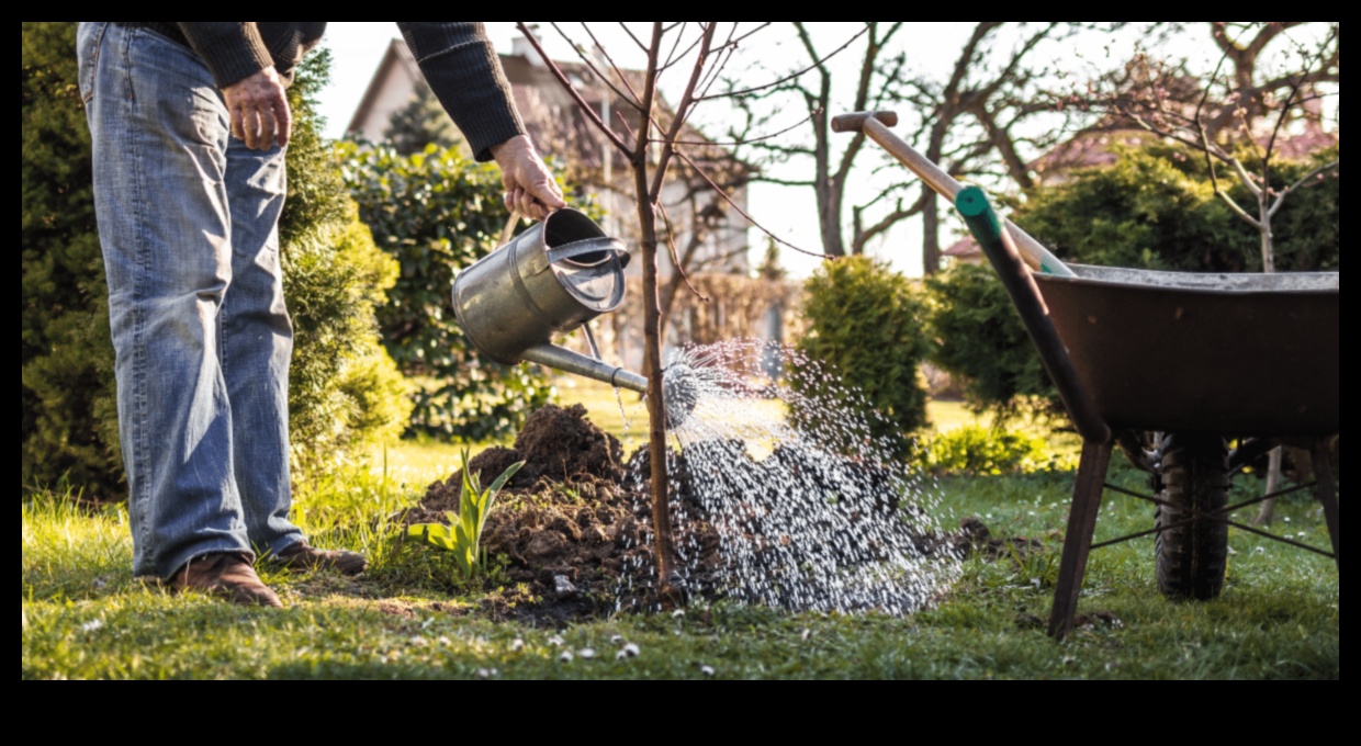 Sow, Grow, Glow: DIY Projects for a Radiant Outdoor Space