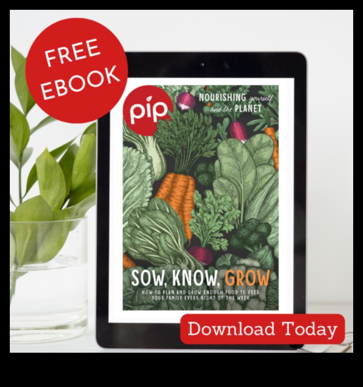 Sow, Grow, Know: Interactive Garden Learning Sessions