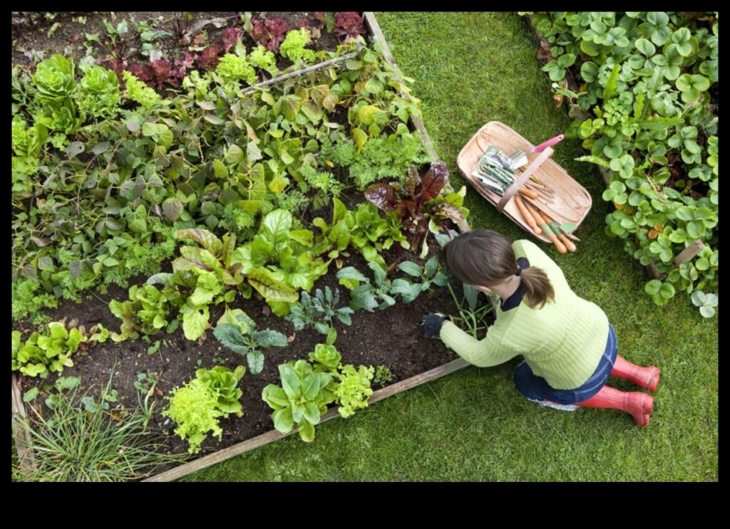 Sow, Grow, Thrive The Essential Guide to Gardening for Beginners 1