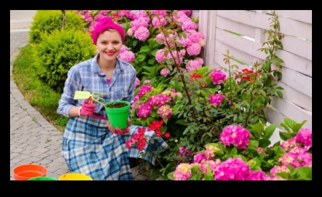 Sow, Grow, Thrive: Essential Horticulture Insights