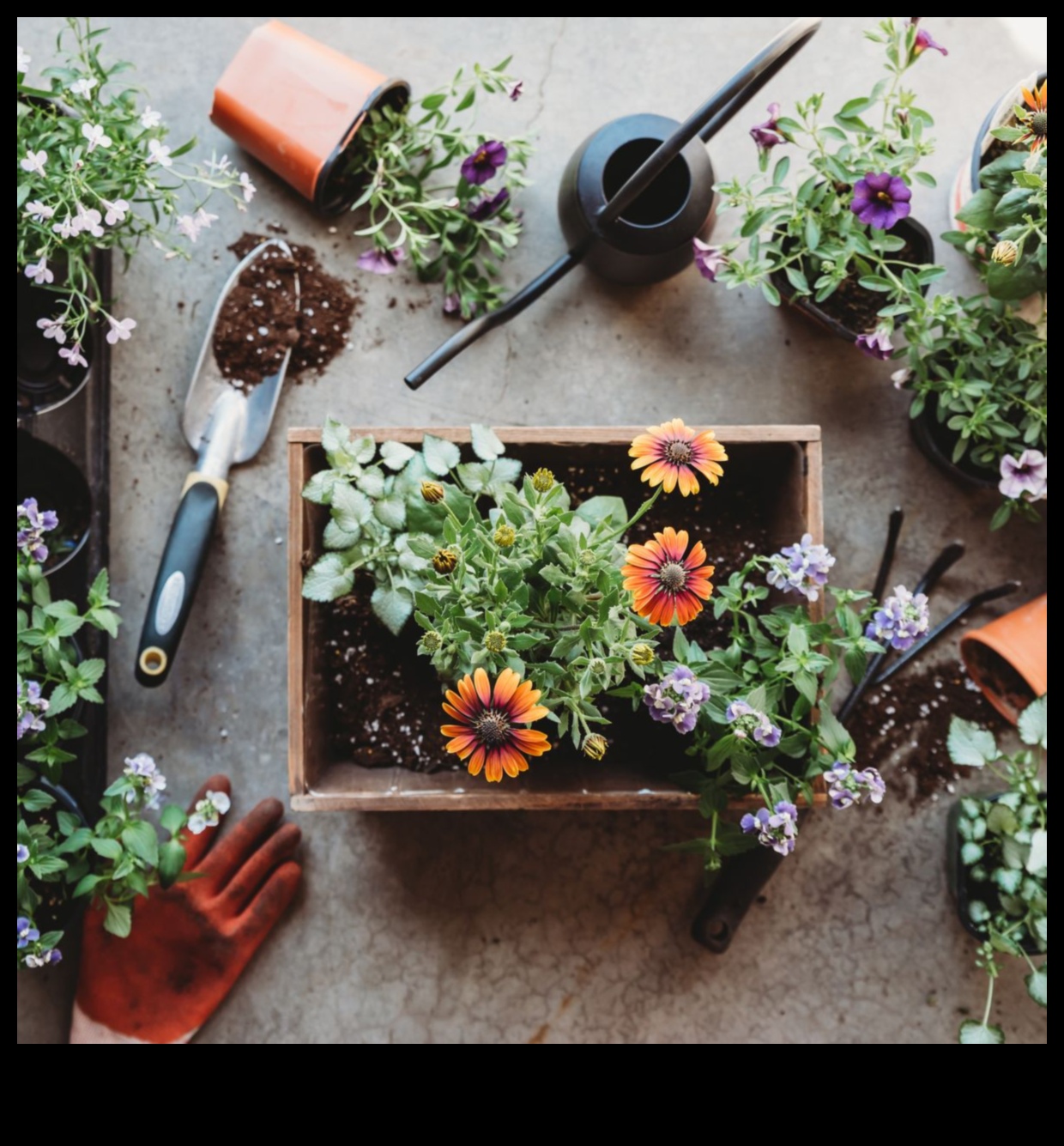 Sow, Grow, Thrive: Essential Horticulture Insights