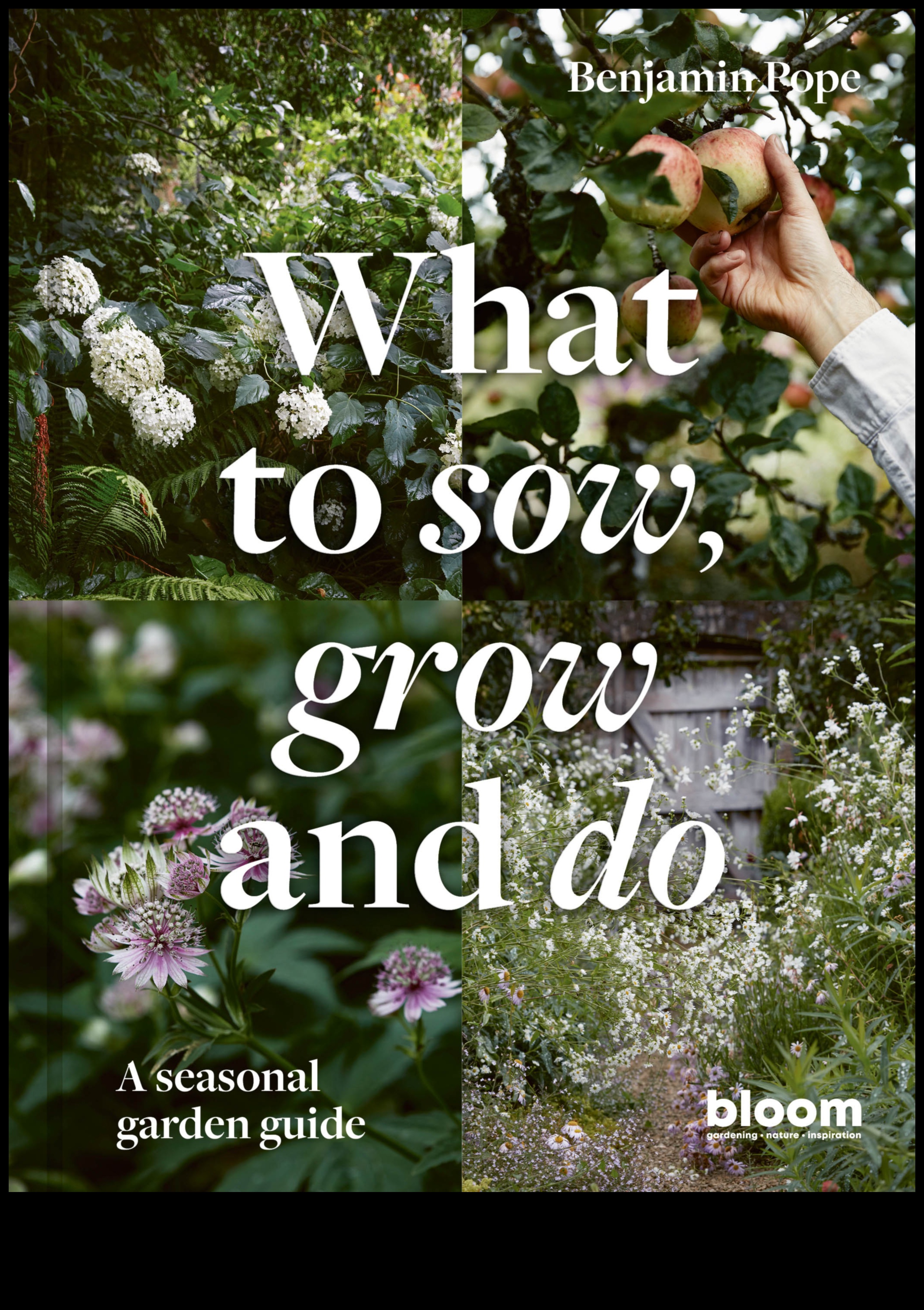 Sow, Grow, Thrive: Essential Horticulture Insights