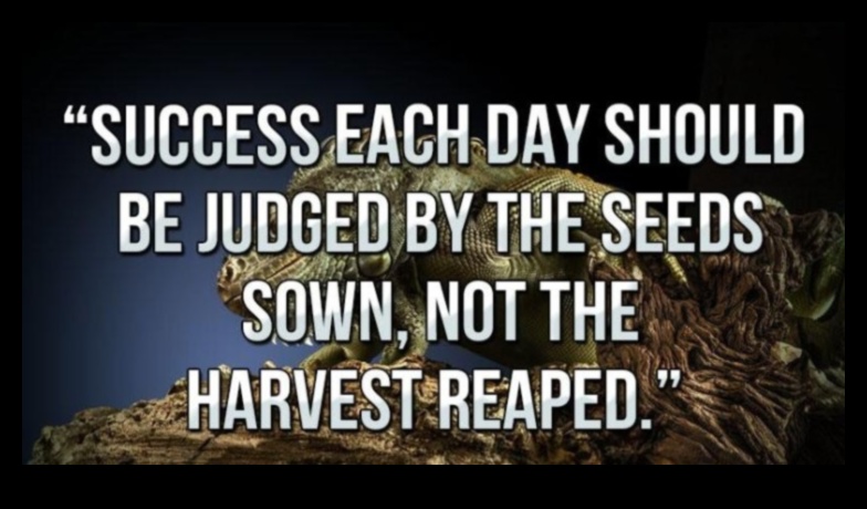 Sow, Reap, Repeat: Garden Tools for Success