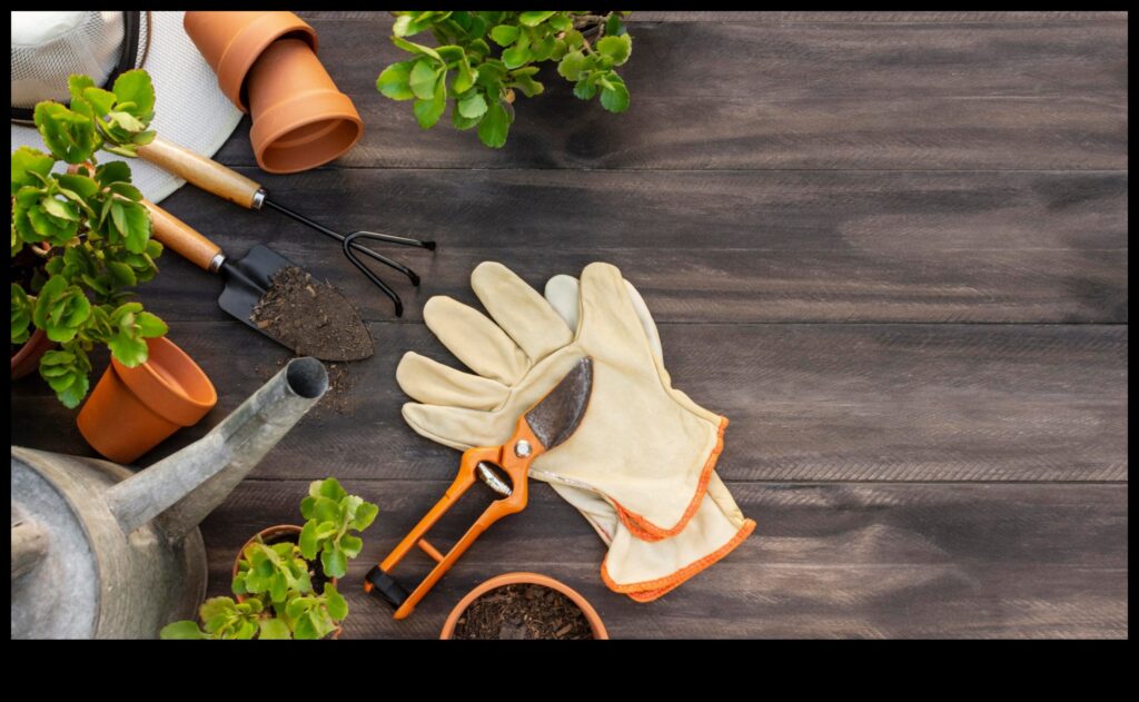 Sow Success 7 Garden Tools Every Grower Needs 1