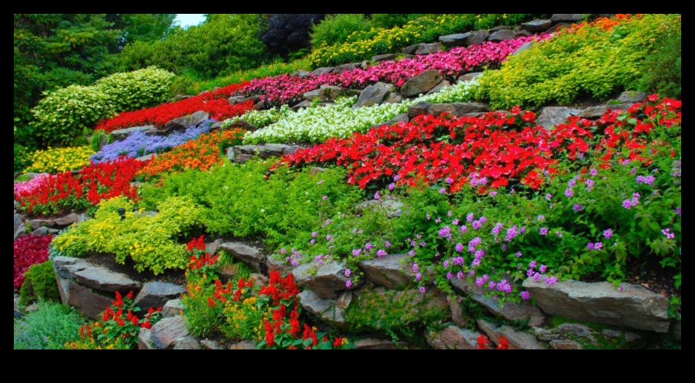 Sow Success: DIY Adventures for a Blooming Landscape