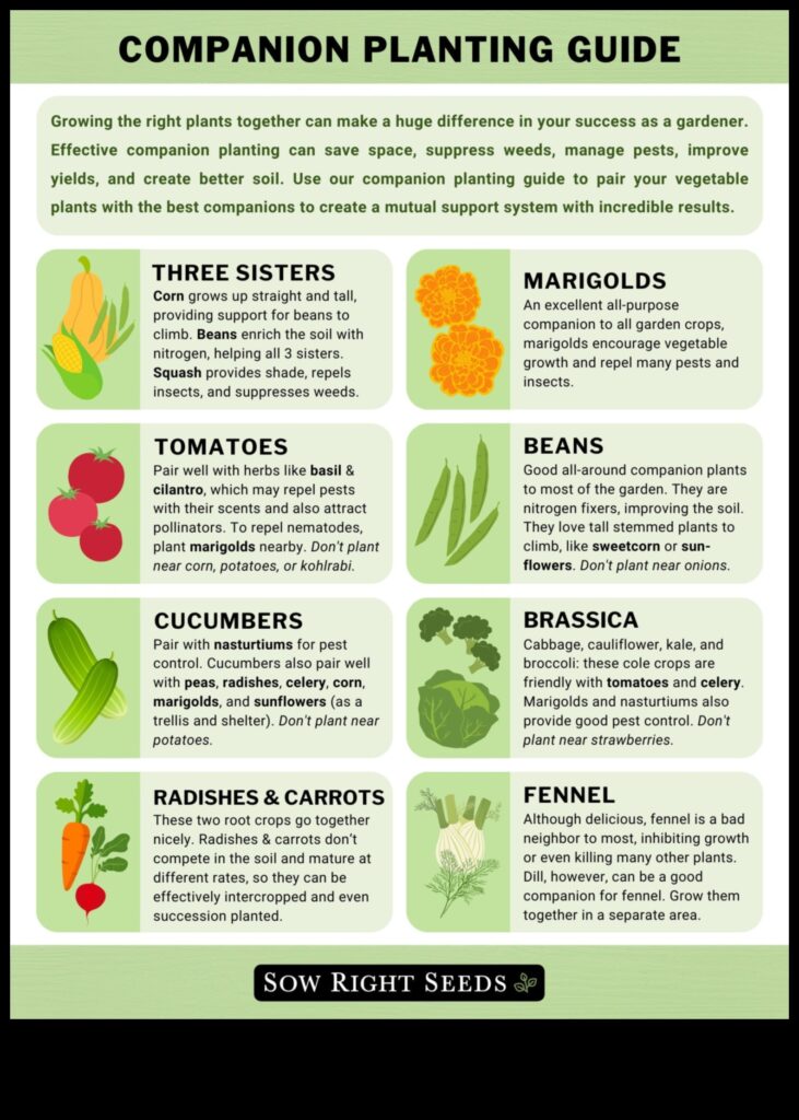 Sow and Grow A Guide to Companion Planting for a Healthier Garden 1