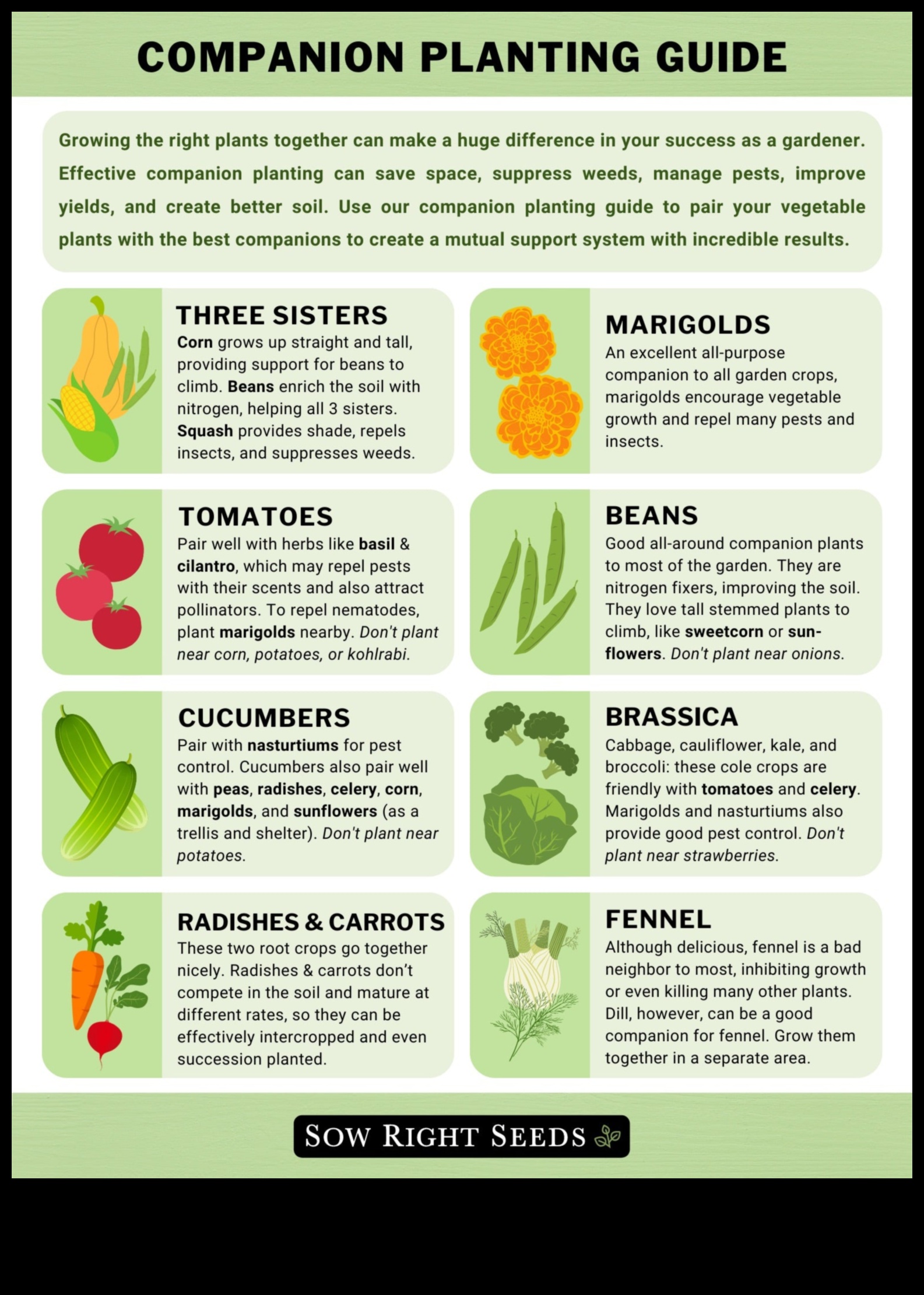 Sow and Grow: Nurturing Gardens through Companion Planting