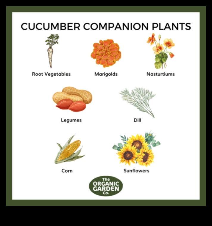 Sow and Grow: Nurturing Gardens through Companion Planting