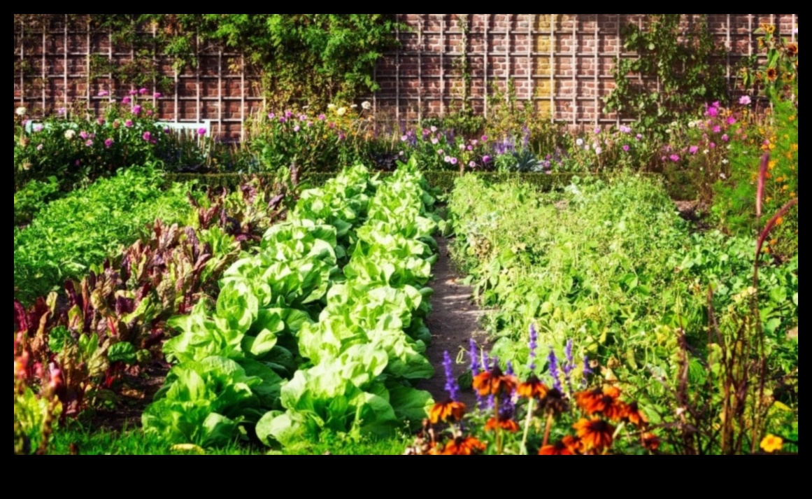 Sow and Grow: Nurturing Gardens through Companion Planting