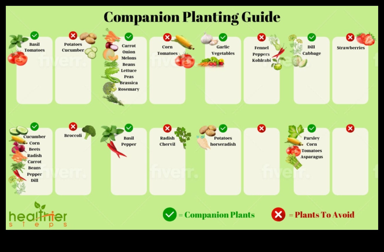 Sow and Grow: Nurturing Gardens through Companion Planting