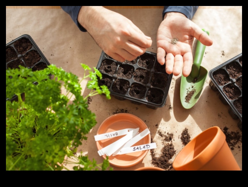 Sow the Seeds of Success: Expert Tips for Garden Planning