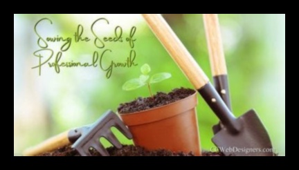 Sow the Seeds of Success: Expert Tips for Garden Planning
