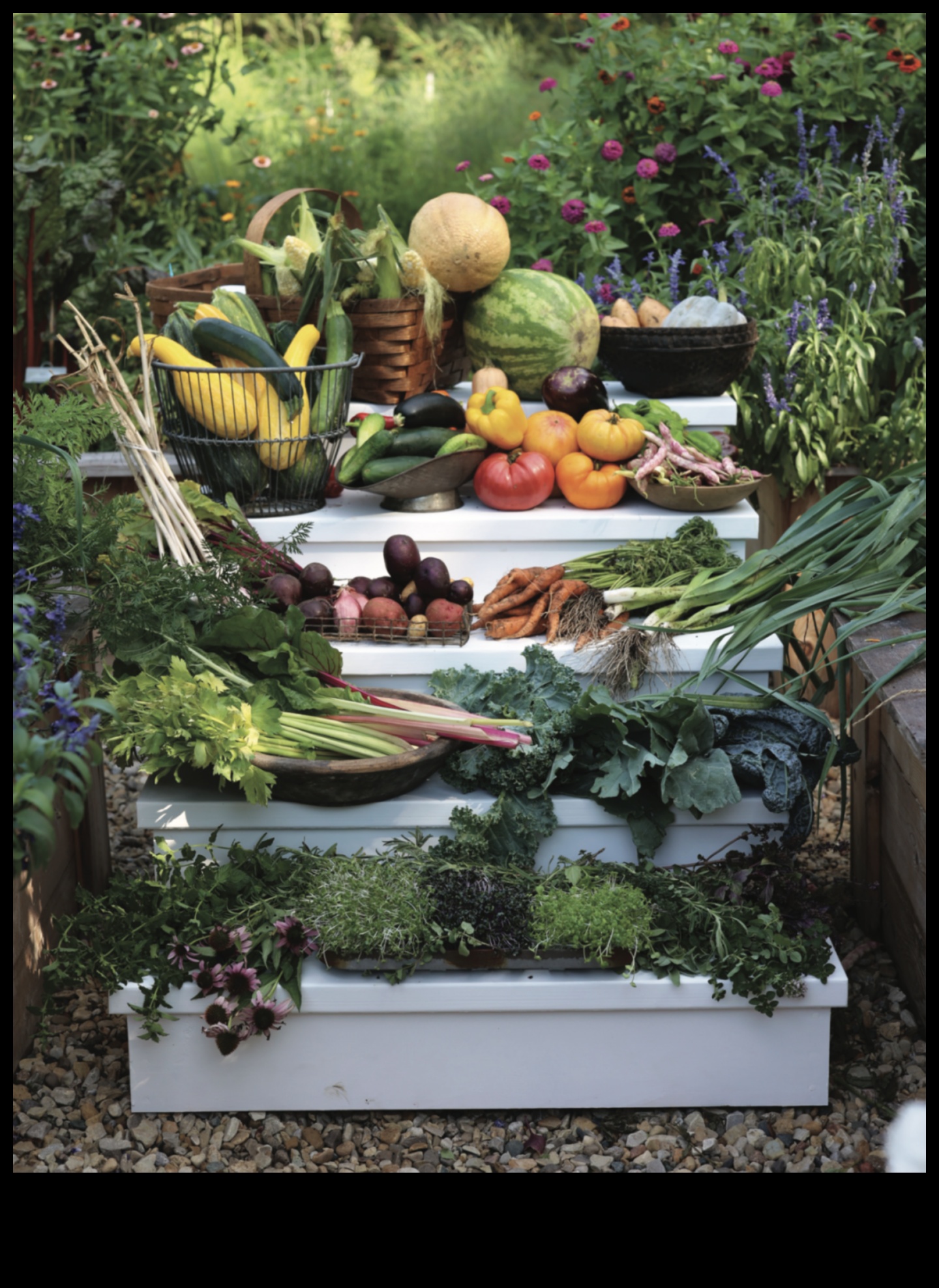 Sow to Grow: Mastering the Art of Organic Gardening