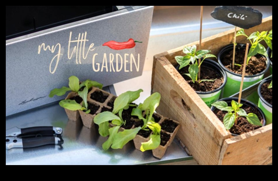 Sprout Your Own Garden 50+ Urban Gardening Inspirations 1