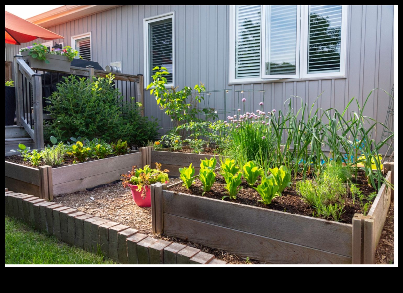 Sprouting in the City: Urban Gardening Inspirations