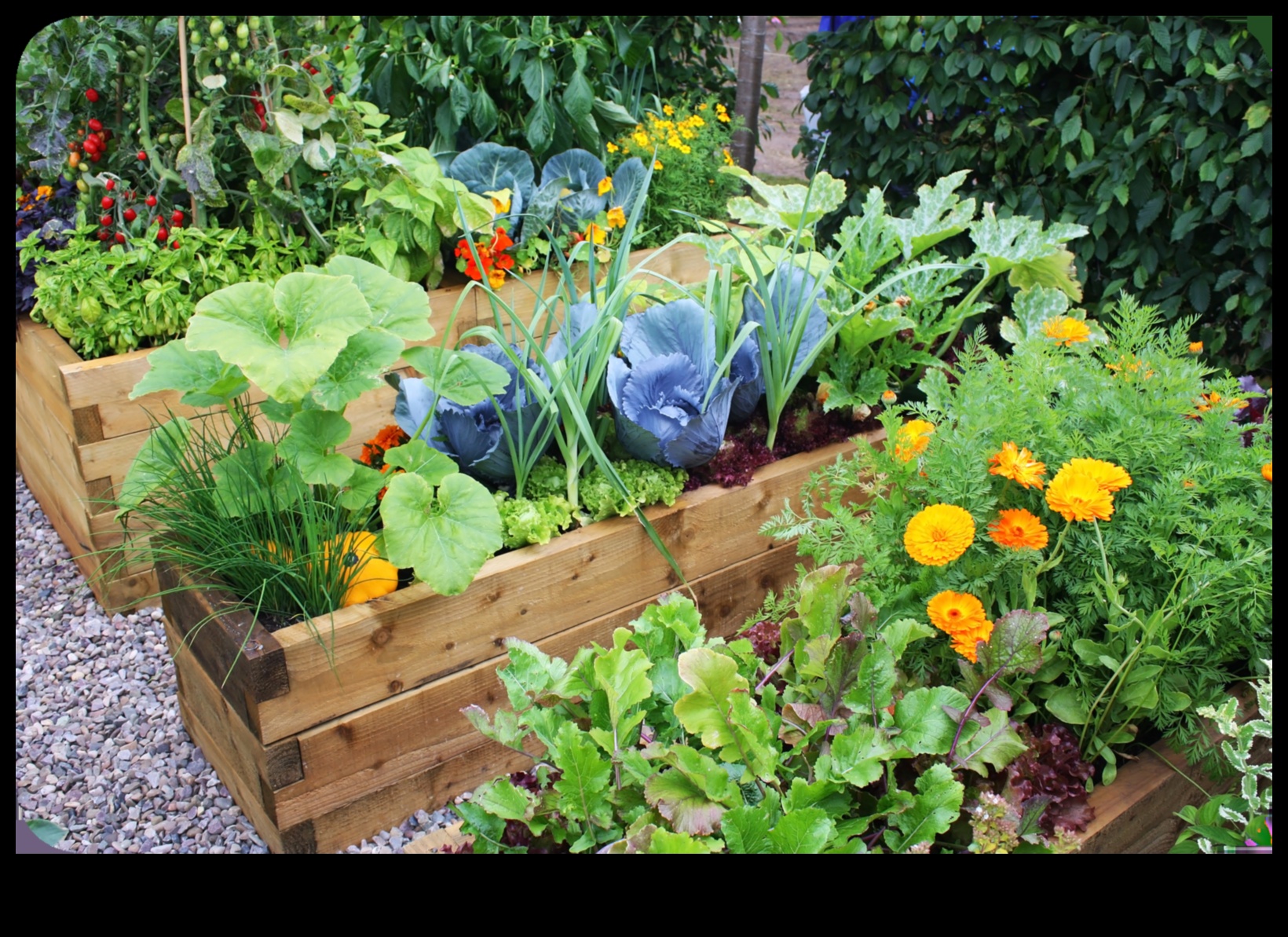 Sprouting in the City: Urban Gardening Inspirations