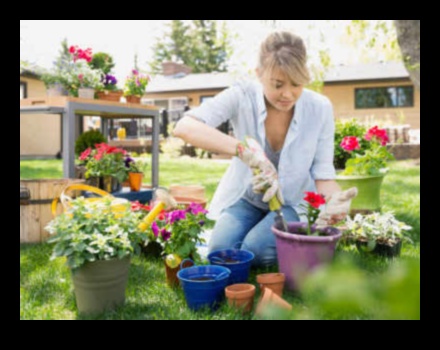 Sprouting in the City: Urban Gardening Inspirations