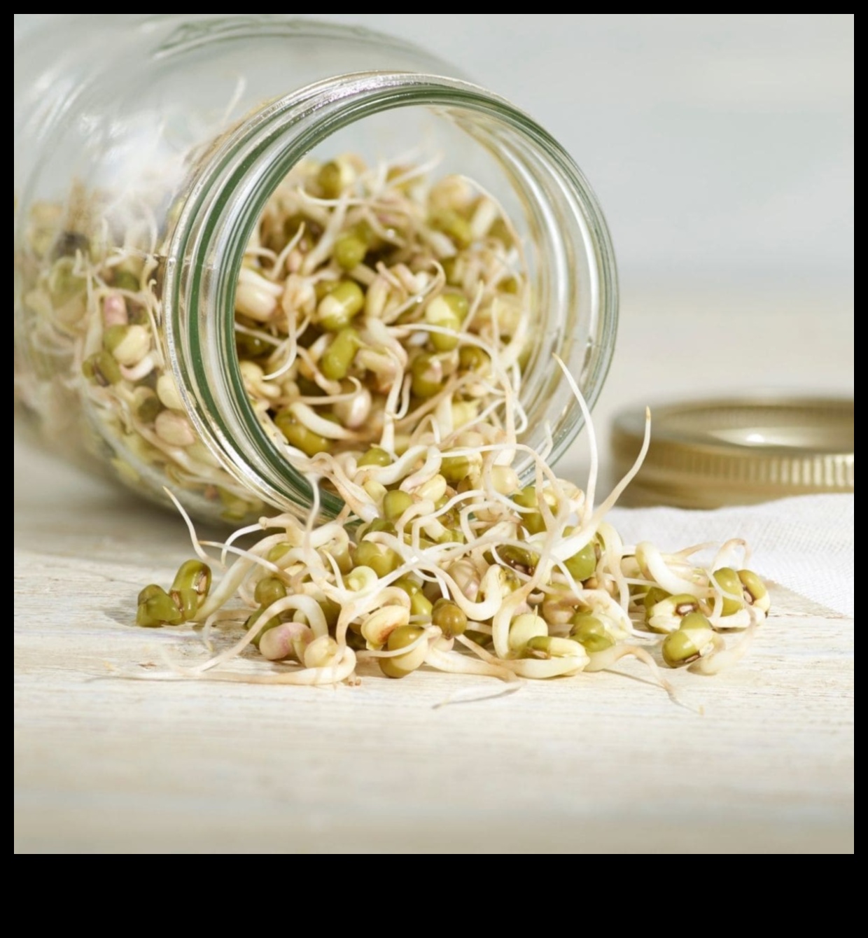 Sustainable Sprouts: Green Living through Horticulture