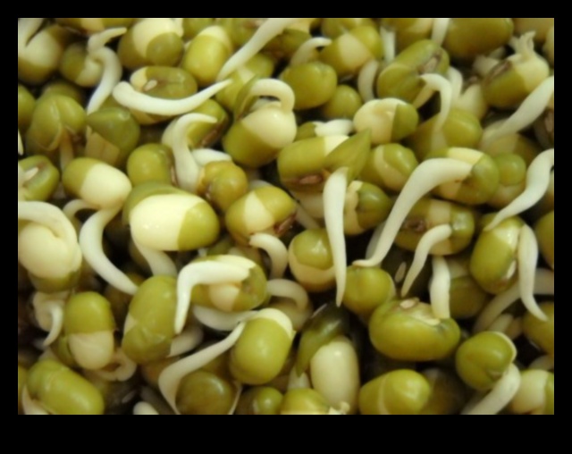 Sustainable Sprouts: Green Living through Horticulture